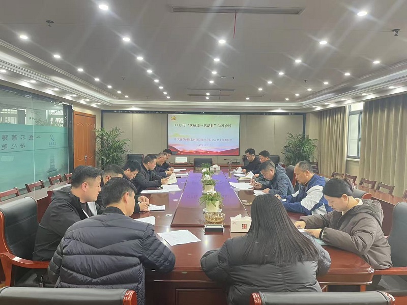 水建集团党总支开展11月份党员“统一活动日”活动