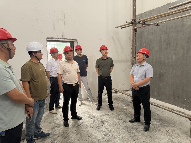 水建集团组织开展端午节前安全大检查
